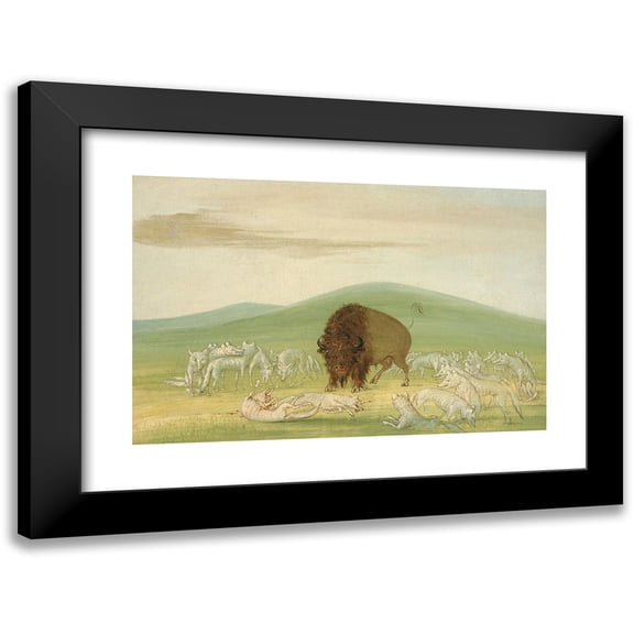 George Catlin 18x13 Black Modern Framed Museum Art Print Titled - Wounded Buffalo Bull Surrounded by White Wolves (1832-1833)
