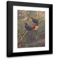thumbnail image 1 of George Edward Lodge 14x18 Black Modern Framed Museum Art Print Titled - Malayan Crestless Fireback (1918-1922), 1 of 5