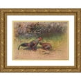 thumbnail image 1 of George Edward Lodge 24x18 Gold Ornate Framed and Double Matted Museum Art Print Titled - Grey Junglefowl (1918-1922), 1 of 4