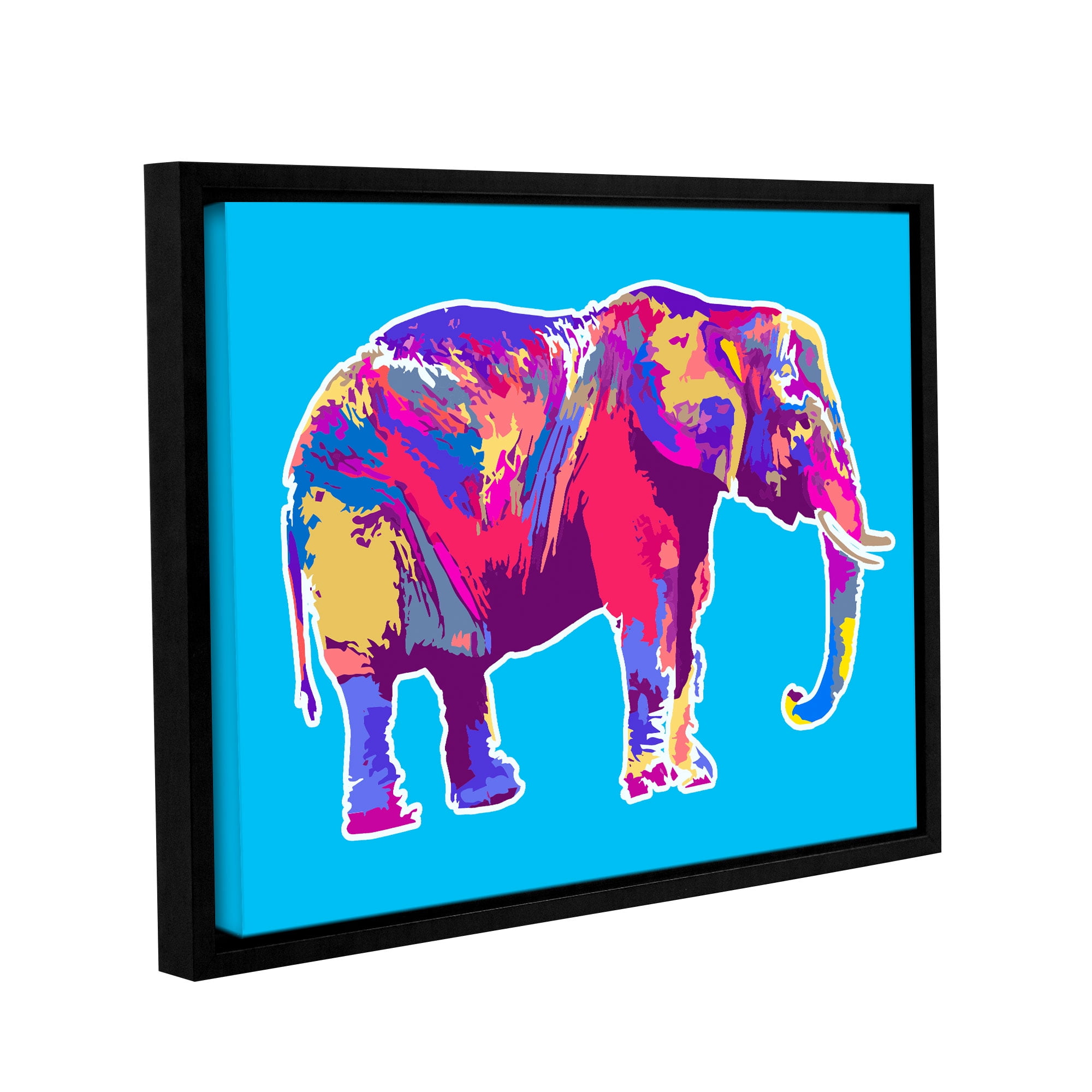 George Gallery Wrapped Floater-framed Canvas