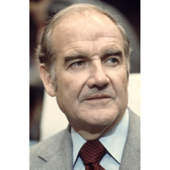 George Mcgovern History (24 x 36)