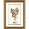 thumbnail image 1 of George Shaw 12x18 Gold Ornate Wood Frame and Double Matted Museum Art Print Titled - Muricated Madrepore (1789-1813), 1 of 4