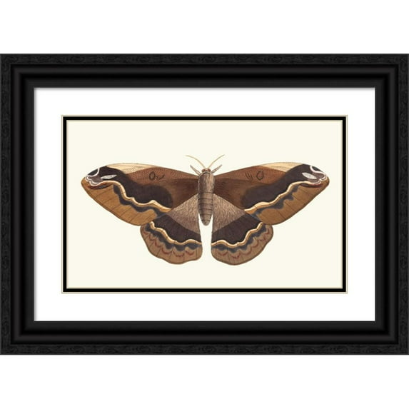 George Shaw 18x12 Black Ornate Wood Framed Double Matted Museum Art Print Titled - Sylla (1789-1813)