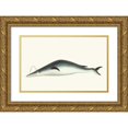 thumbnail image 1 of George Shaw 18x12 Gold Ornate Wood Frame and Double Matted Museum Art Print Titled - Under-Jawed Mysticete (1789-1813), 1 of 4