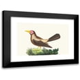 thumbnail image 1 of George Shaw 18x13 Black Modern Framed Museum Art Print Titled - Soon Grakle (1789-1813), 1 of 5