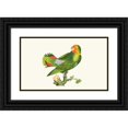 thumbnail image 1 of George Shaw 24x16 Black Ornate Framed Double Matted Museum Art Print Titled: The Guinea Parrakeet (1789-1813), 1 of 5