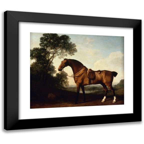 George Stubbs 14x12 Black Modern Framed Museum Art Print Titled - A Saddled Bay Hunter (1786)