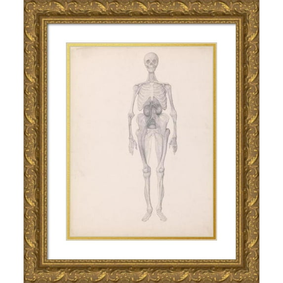 George Stubbs 14x18 Gold Ornate Wood Frame and Double Matted Museum Art Print Titled - Human Figure, Anterior View (1795 to 1806)