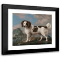 thumbnail image 1 of George Stubbs 17x15 Black Modern Framed Museum Art Print Titled - Brown and White Norfolk or Water Spaniel (1778), 1 of 5