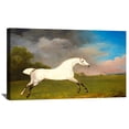 thumbnail image 1 of George Stubbs Paintings Sporting Art Print A Gray Horse Canvas Art Framed Wall Art, 1 of 7