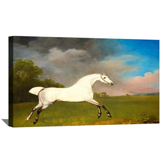 George Stubbs Paintings Sporting Art Print A Gray Horse Canvas Art Framed Wall Art