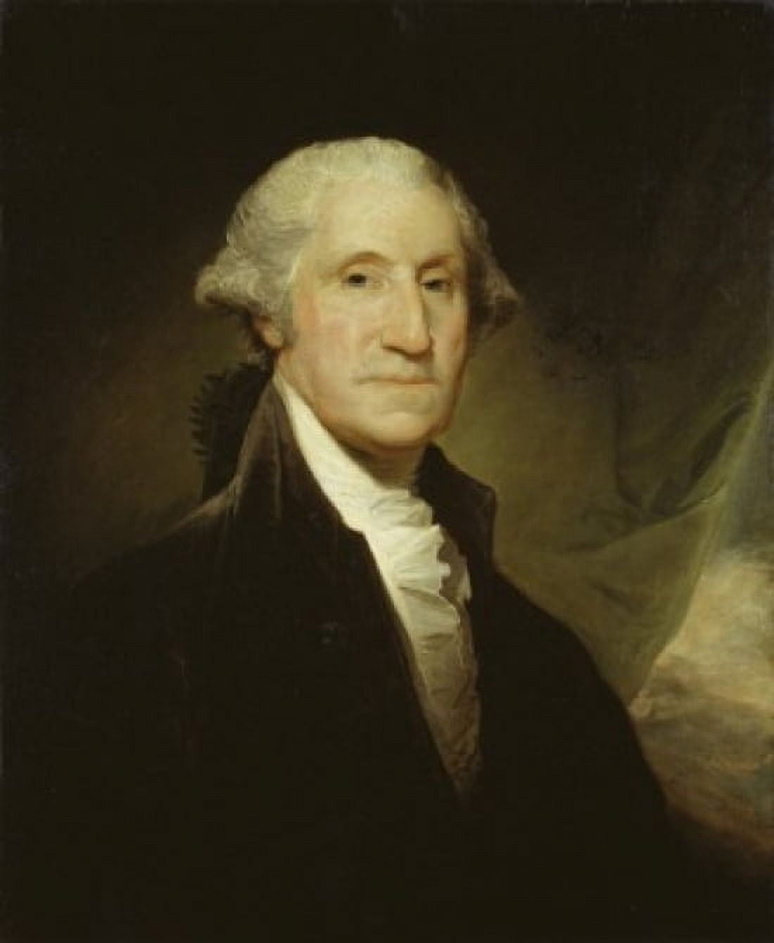 George Washington 1795 Gilbert Stuart (1755-1828American) Oil on canvas Metropolitan Museum of Art New York City Canvas Art - Gilbert Stuart (18 x 24)