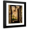 thumbnail image 1 of Georges Rouard 18x24 Black Modern Framed Museum Art Print Titled - Inner View of the Ruins of the Former Court of Auditors, Quai D'Orsay (1888), 1 of 5