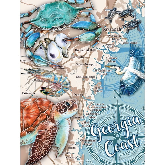 Georgia Coast Puzzle