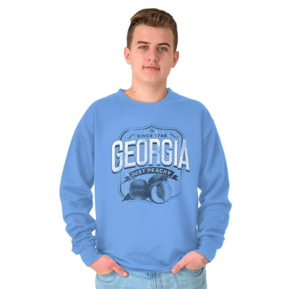 Georgia GA Just Peachy Peach State Unisex Plus Fleece Graphic Sweatshirt Brisco Brands 5X