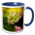 thumbnail image 1 of 3drose, Georgia, Hydrangea Flower in Savannah Garden - Us11 Jwl0176 - Joanne Wells, 11oz Two-tone Blue Mug, 1 of 6