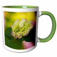 thumbnail image 1 of 3drose, Georgia, Hydrangea Flower in Savannah Garden - Us11 Jwl0176 - Joanne Wells, 15oz Two-tone Green Mug, 1 of 6
