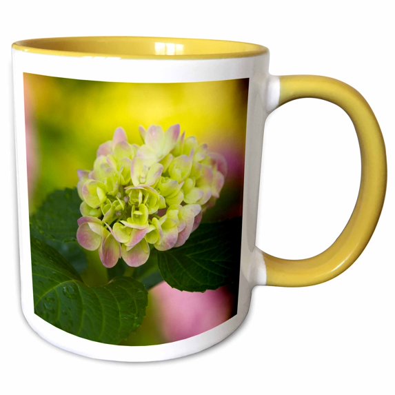3drose, Georgia, Hydrangea Flower in Savannah Garden - Us11 Jwl0176 - Joanne Wells, 15oz Two-tone Yellow Mug