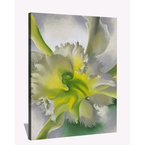 Georgia Keeffe Paintings Enlarged Flowers Wall Art Anorchid Framed Canvas Art
