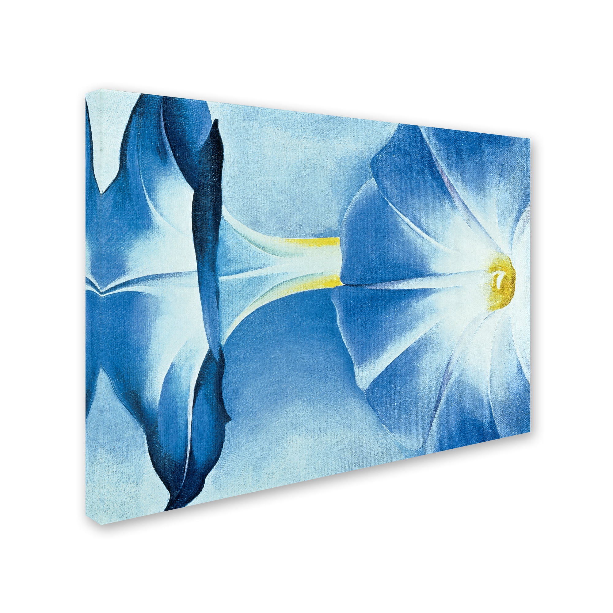 Blue Morning Glories Landscape Canvas Wall Art with Floater Frame