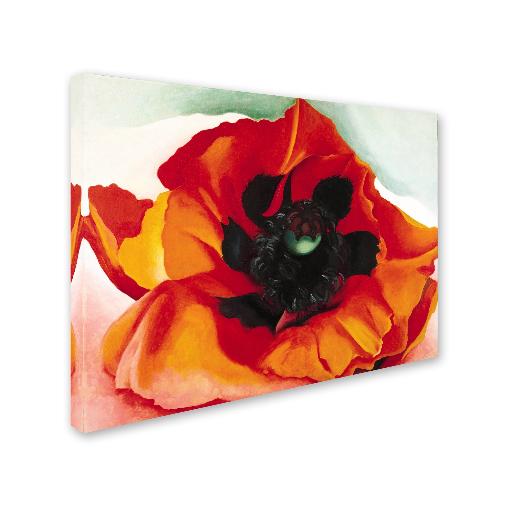 Vibrant Red and Orange Floral Canvas Art