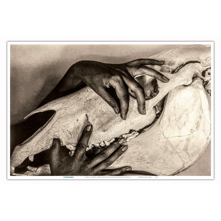 Georgia O'Keeffe – Hands and Horse Skull - Vintage B&W