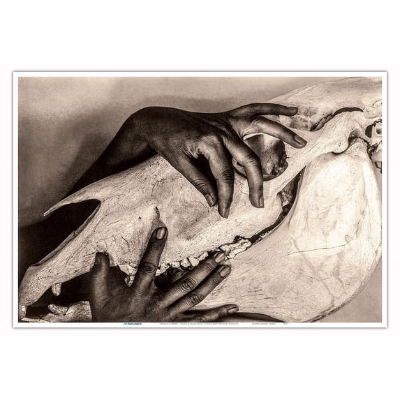 Georgia O’Keeffe – Hands and Horse Skull - Vintage B&W Photograph by Alfred Stieglitz - Master Art Print (Unframed) 13in x 19in