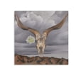 thumbnail image 1 of Georgia O'Keeffe Painting Abstract Painter Animal Wall Art Poster Gifts Bedroom Prints Home Decor Hanging Picture Canvas Painting Posters 12x12inch(30x30cm), 1 of 5