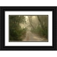 thumbnail image 1 of Georgia Picture Archive 18x13 Black Ornate Wood Framed with Double Matting Museum Art Print Titled - Cumberland Island-Georgia, 1 of 4