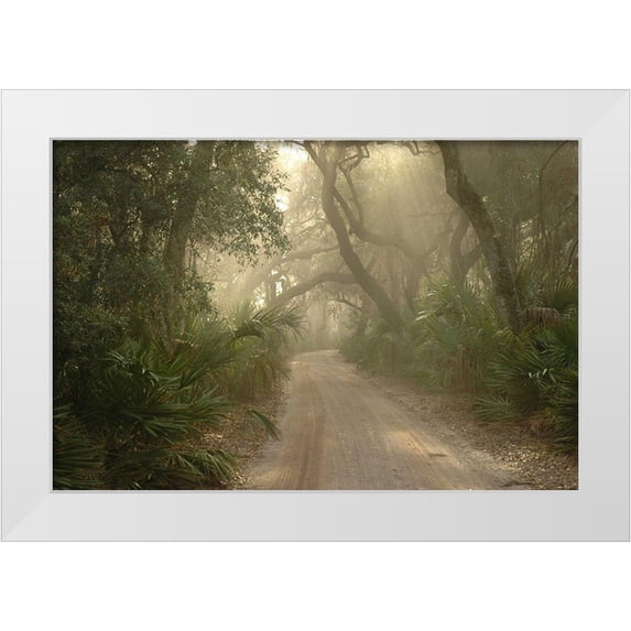 Georgia Picture Archive 24x17 White Modern Wood Framed Museum Art Print Titled - Cumberland Island-Georgia