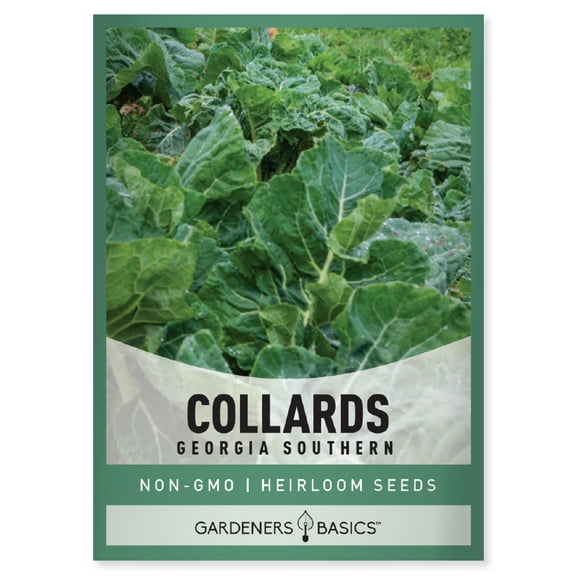 Georgia Southern Collard Seeds