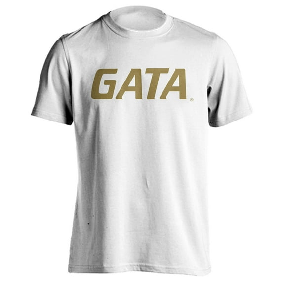 Georgia Southern University Eagles GATA Football Slogan Sleeve T-shirt