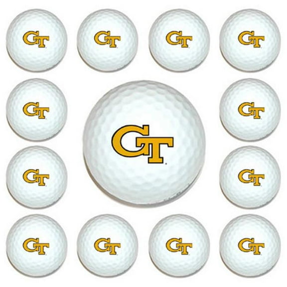 Georgia Tech Yellow Jackets Dozen Ball Pack