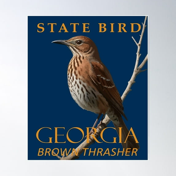 Georgia Territory Bird The Brown Thrasher Poster Wall Art, Modern Wall Decor For Living Room Bedroom, 16x24 UNFRAMED