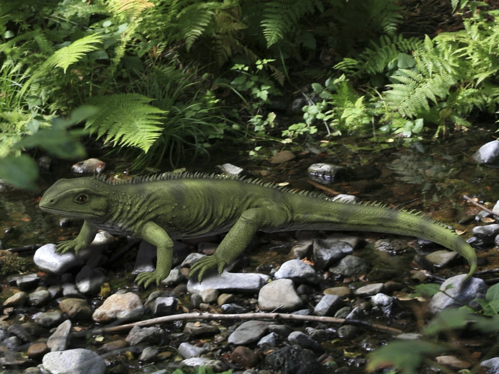 Gephyrosaurus is an extinct animal from the Early Jurassic period Canvas Art - Nobumichi TamuraStocktrek Images (17 x 13)