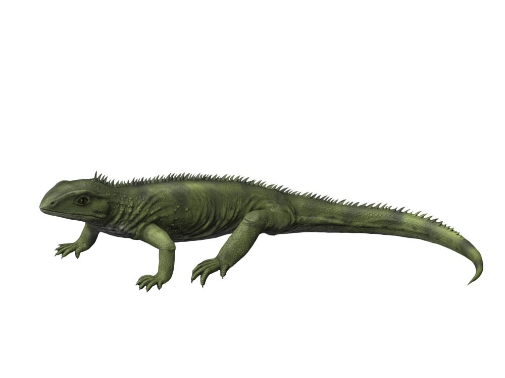 Gephyrosaurus is an extinct animal from the Early Jurassic period Canvas Art - Nobumichi TamuraStocktrek Images (17 x 13)