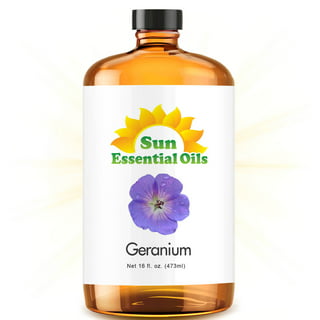 Gya Labs Galbanum Essential Oil - Woody & Earthy Scent (0.34 fl oz)