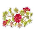 thumbnail image 1 of Geranium Flowers - 5" Vinyl Sticker - For Car Laptop I-Pad - Waterproof Decal, 1 of 1