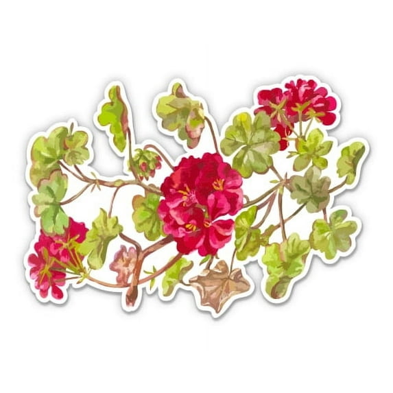 Geranium Flowers - 5" Vinyl Sticker - For Car Laptop I-Pad - Waterproof Decal