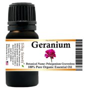 Geranium Organic Essential Oil