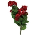 thumbnail image 1 of Geranium & Vine Bush, 1 of 1