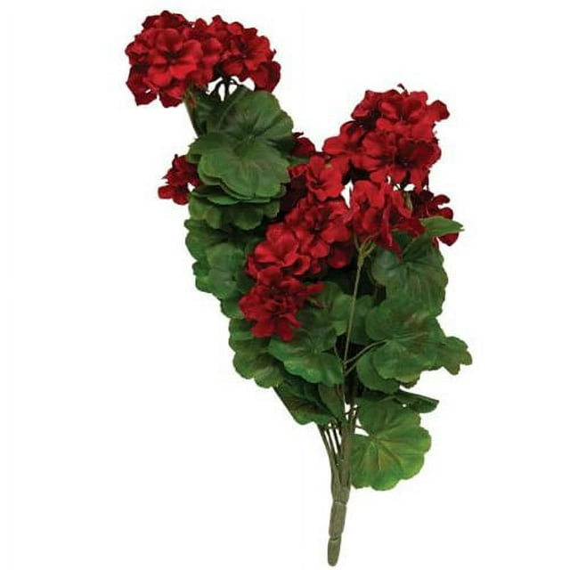 Geranium & Vine Bush