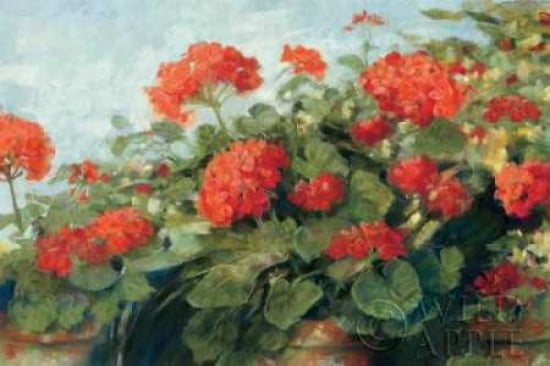 Geranium Wave Canvas Art - Carol Rowan (12 x 18)