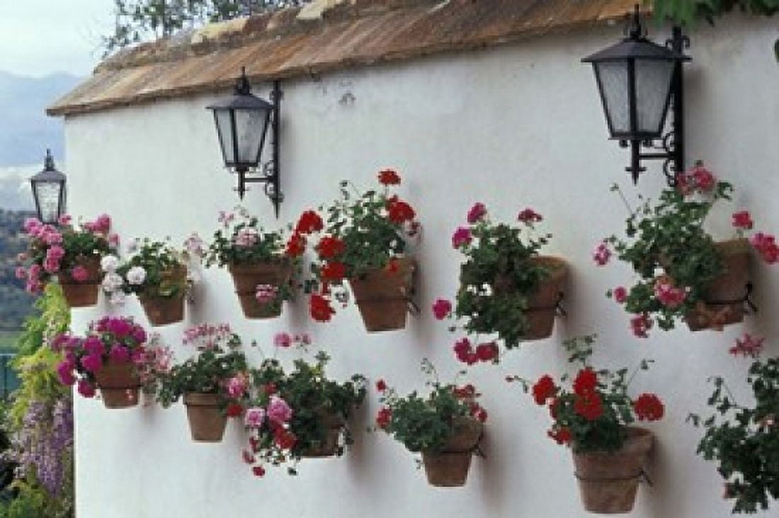 Geraniums along White Wall of Palacio de Mondragon Ronda Spain Canvas Art - John & Lisa Merrill DanitaDelimont (36 x 24)