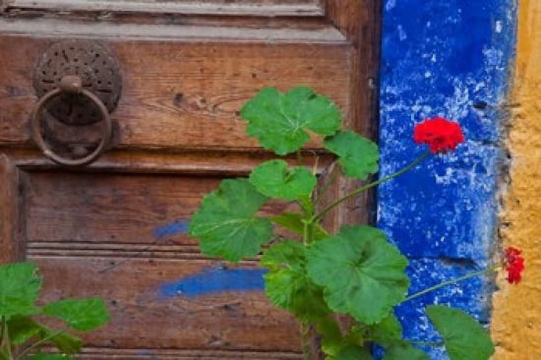 Geraniums and old door in Chania Crete Greece Canvas Art - Darrell Gulin DanitaDelimont (34 x 23)