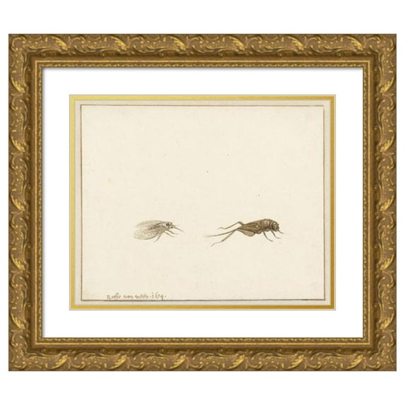 Gerardus van Veen 14x12 Gold Ornate Wood Frame and Double Matted Museum Art Print Titled - Two Insects (1674)