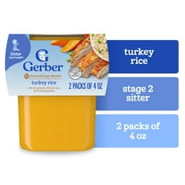 Gerber Stage 2 Baby Food, Turkey Rice Puree Tub, Baby Puree, 2PK 8 oz