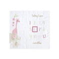 thumbnail image 1 of Gerber Baby Girl Milestone Blanket & Frame Set, 2-Piece, White Safari, 1 of 7