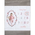 thumbnail image 1 of Gerber Baby Girl Milestone Blanket & Frame Set, 2-Piece, 1 of 6