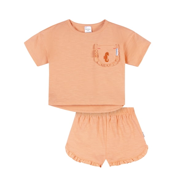 Gerber Baby and Toddler Girl 2pc Outfit Set, Sizes (12 Months - 5T)